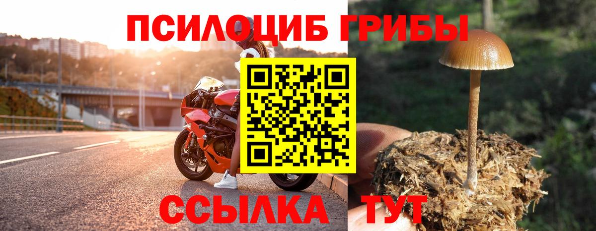 Псилоцибиновые грибы MAGIC MUSHROOMS  Вход с VPN  Россия 